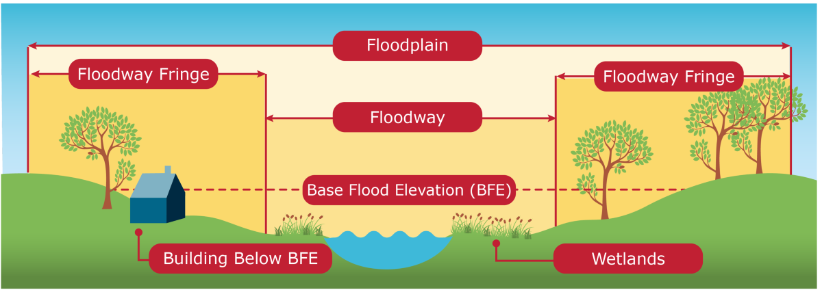 An illustrated diagram of a floodplain that depicts the floodway fringe, floodway, base flood elevation (BFE), a building below the BFE, and wetlands.