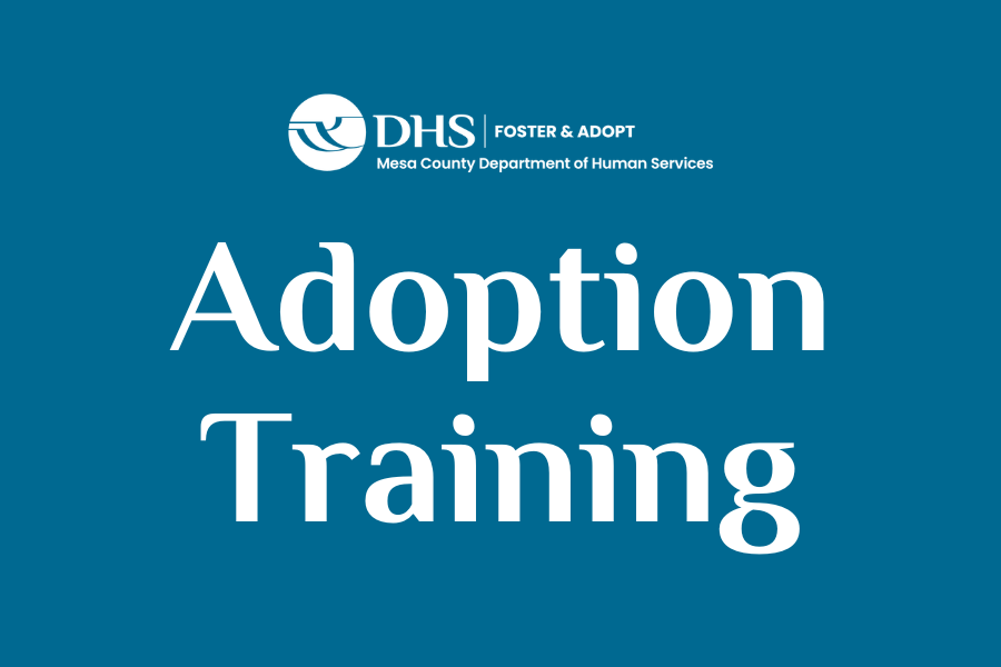 Adoption training with blue background and MCDHS logo